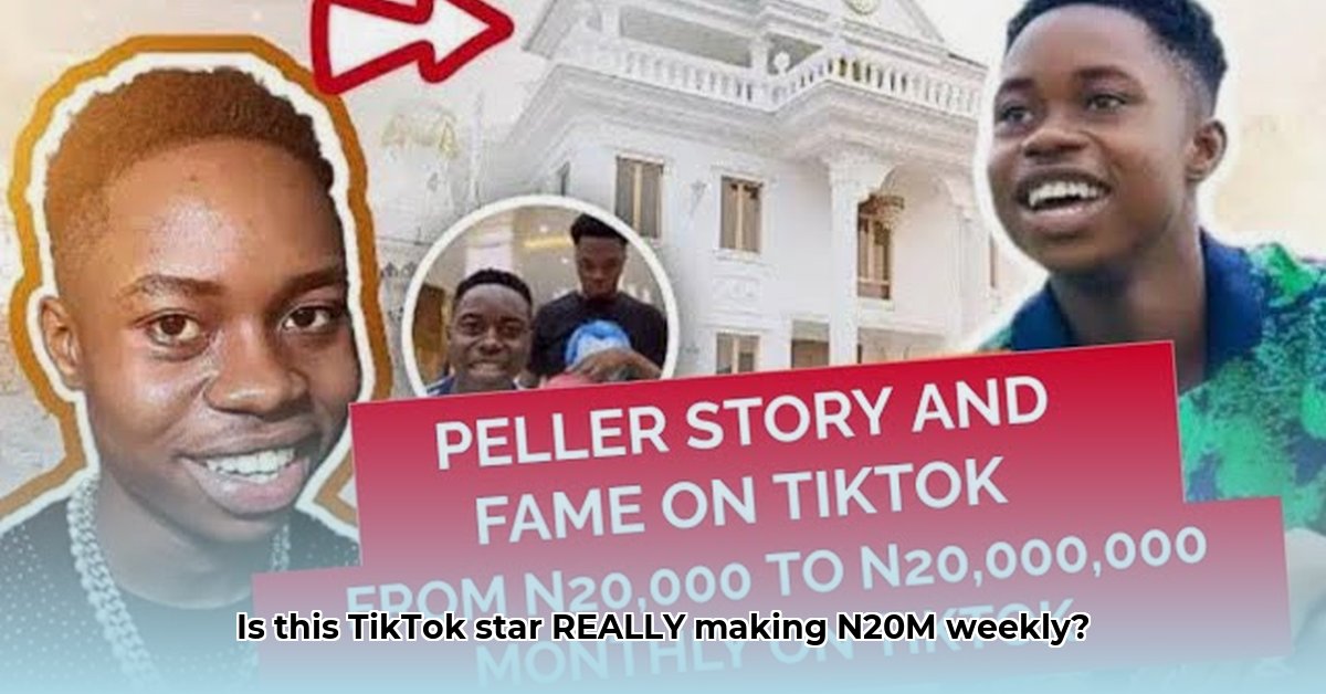 peller-tiktok-earnings-projection